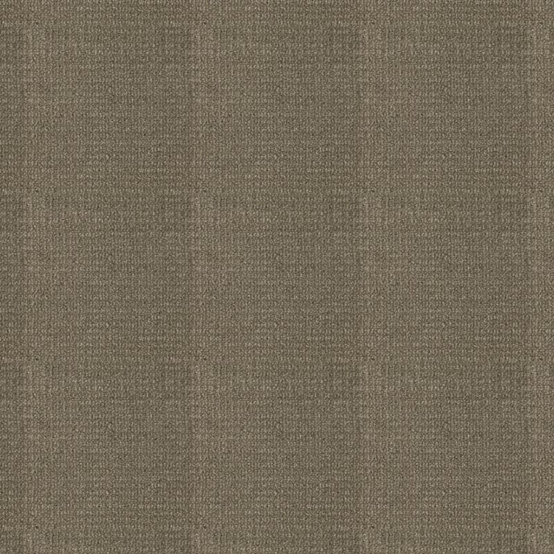 Grand Champion carpet by Masland