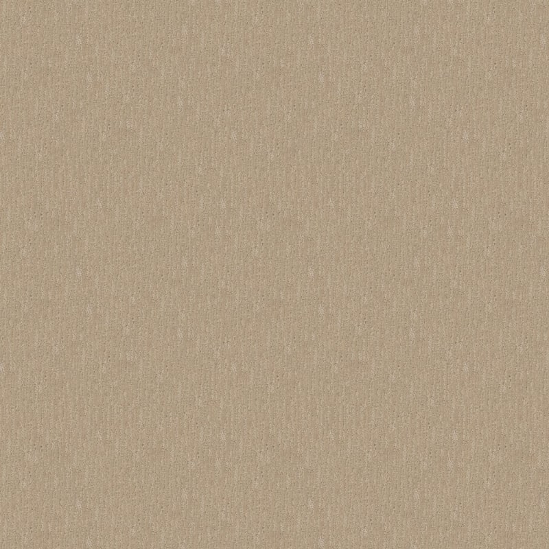 Gratifying carpet by Dixie Home