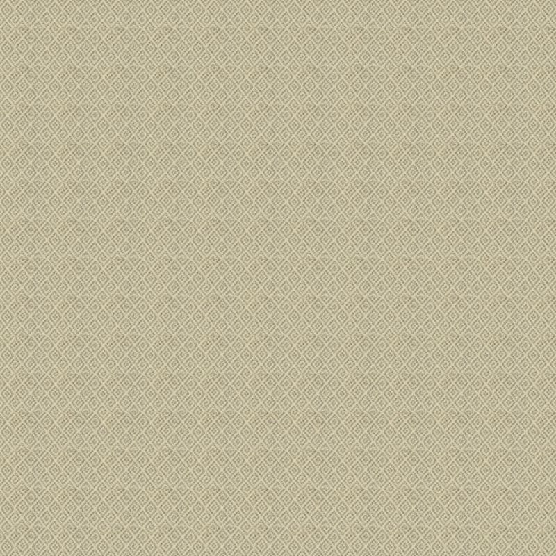 Marquis carpet by Masland