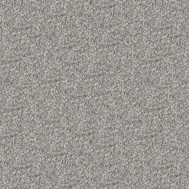 Husky carpet by Dixie Home