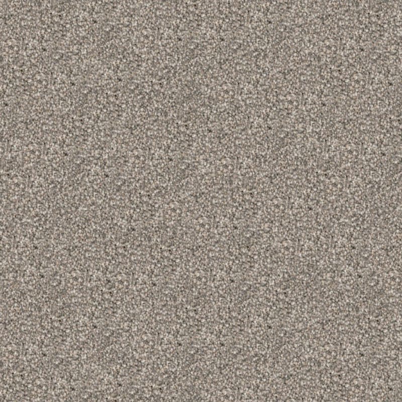 Great Dane carpet by Dixie Home