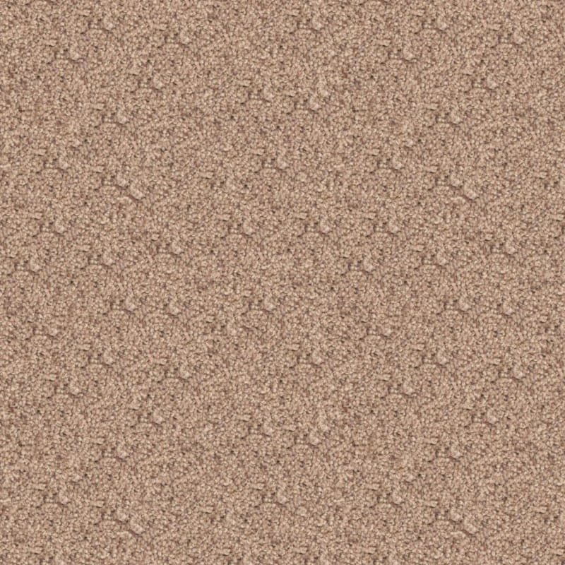 Husky carpet by Dixie Home