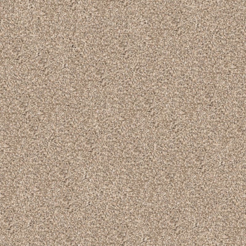 Great Dane carpet by Dixie Home