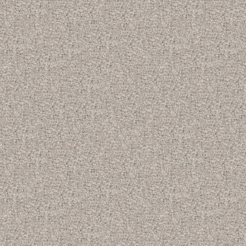 Great Dane carpet by Dixie Home