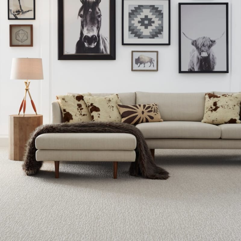 Mesa Bella carpet by Masland