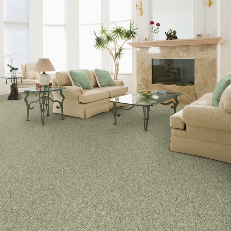 Embrace carpet by Masland