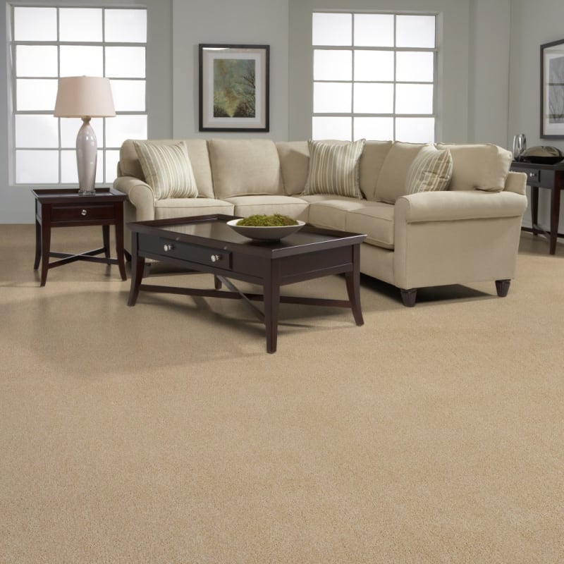 Beacon Hill carpet by Masland