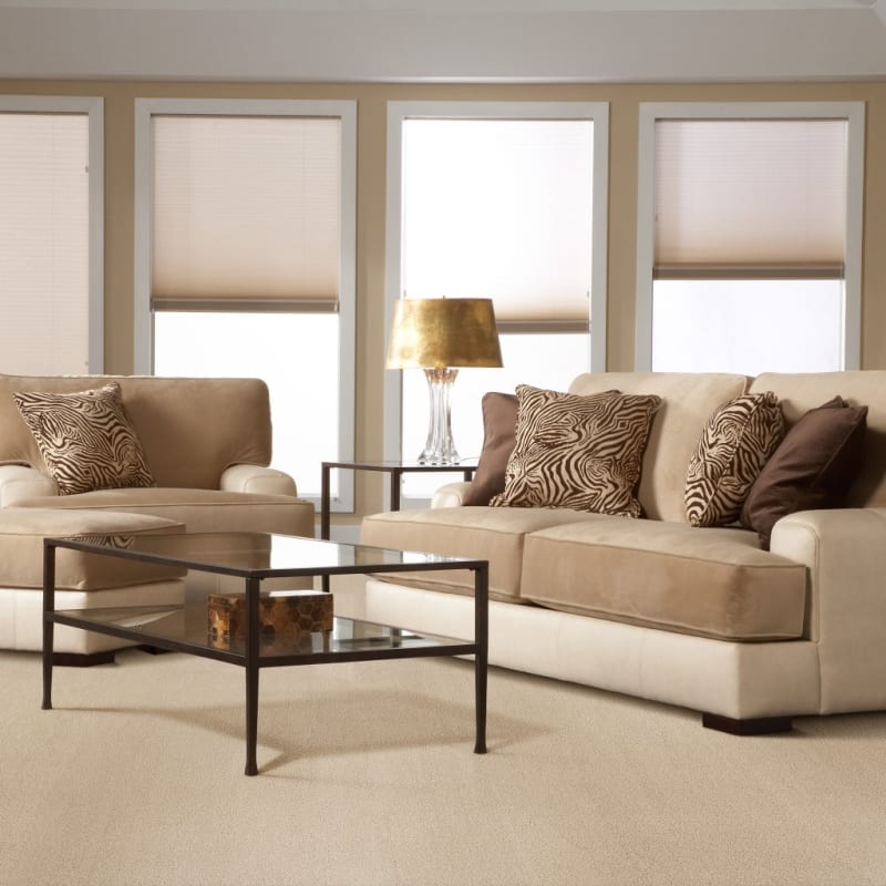 Opalesque carpet by Masland
