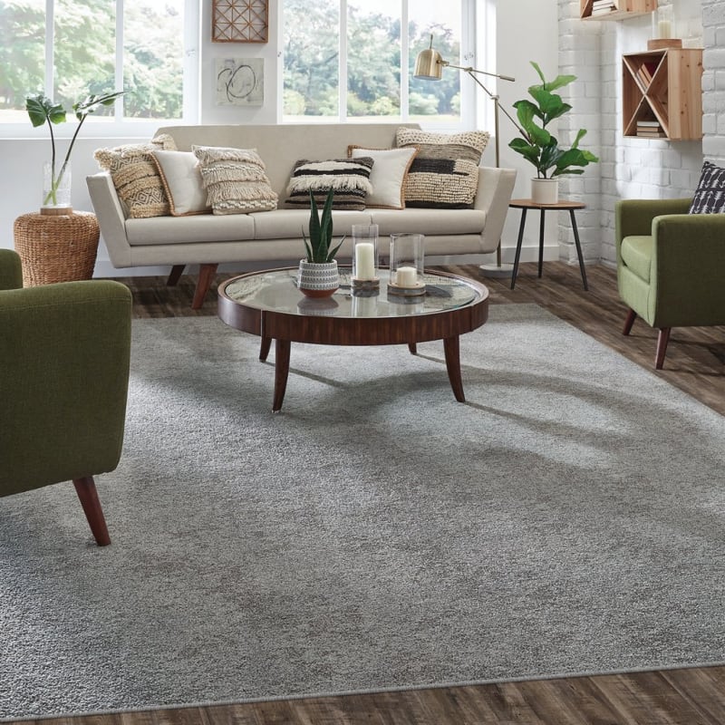 Buena Vida carpet by Masland