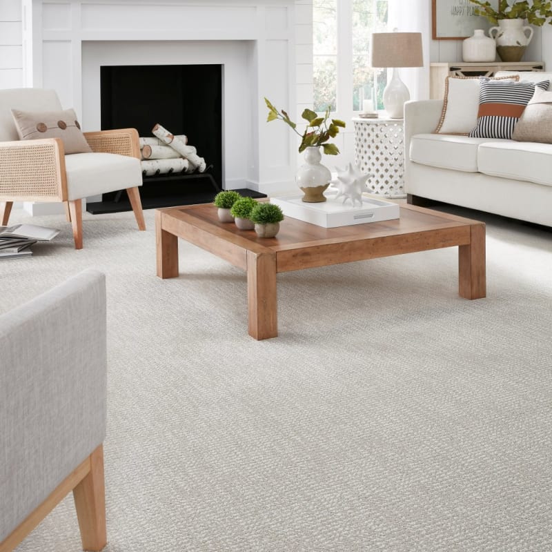 Pedigree carpet by Masland
