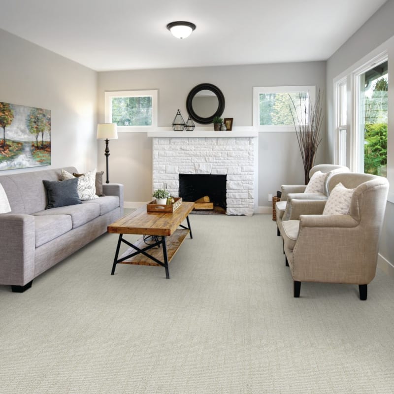 Template carpet by Dixie Home