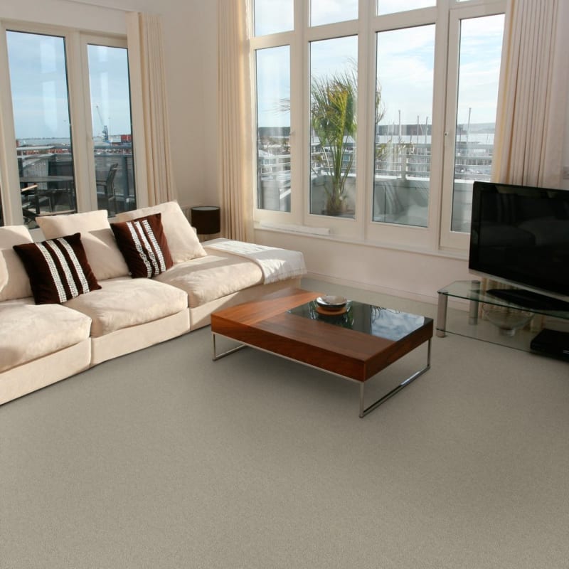 Touch of Velvet carpet by Dixie Home