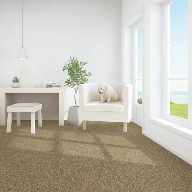 Pyrenees carpet by Dixie Home