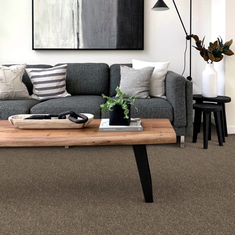 Big Idea carpet by Dixie Home