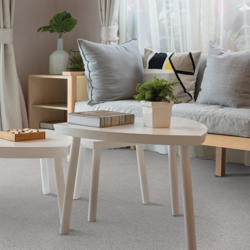 Leigh Way carpet by Dixie Home