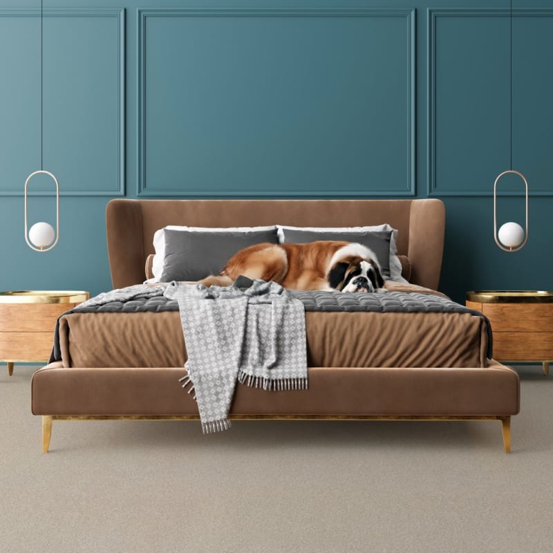 Saint Bernard carpet by Dixie Home