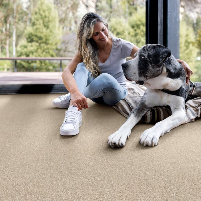 Great Dane carpet by Dixie Home