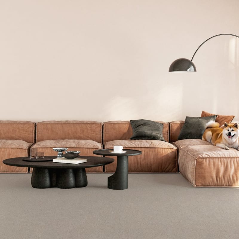 Akita carpet by Dixie Home