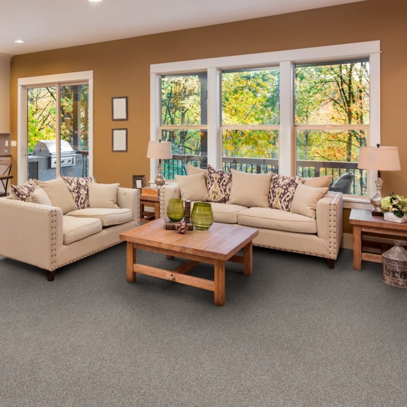 Colorworks carpet by Dixie Home