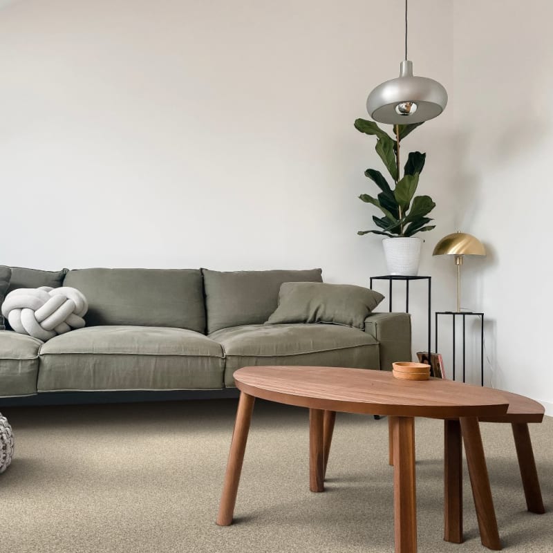 Game Plan carpet by Dixie Home