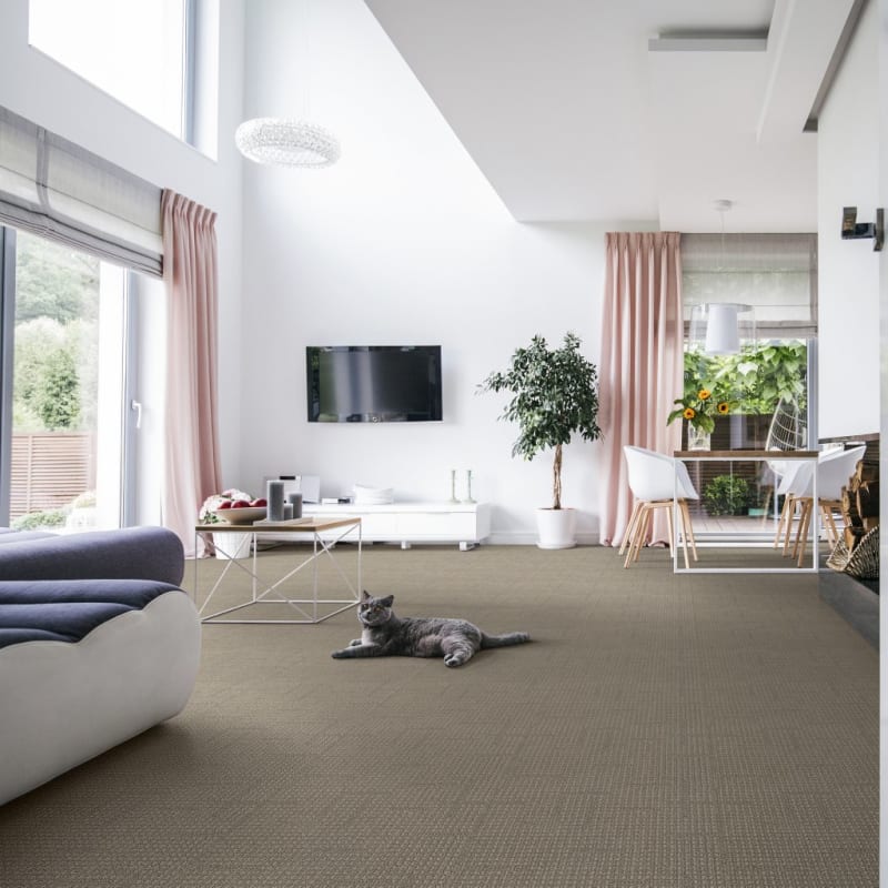 Tabby carpet by Dixie Home
