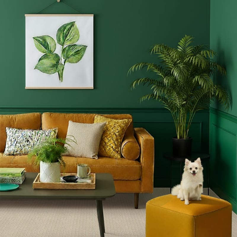 Mindful carpet by Dixie Home