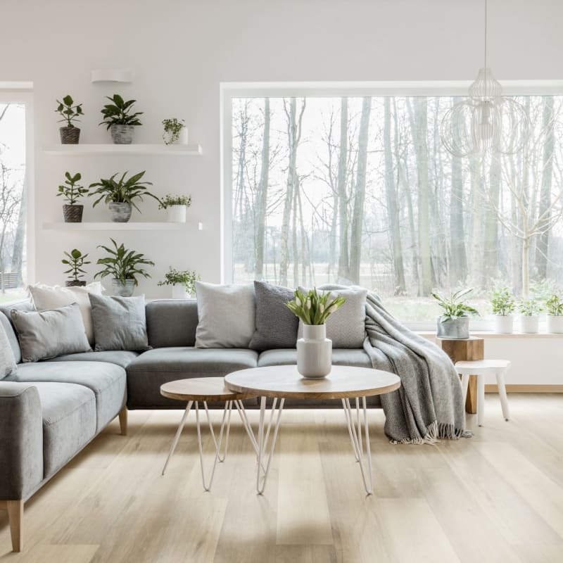 9 Series carpet by TRUCOR®