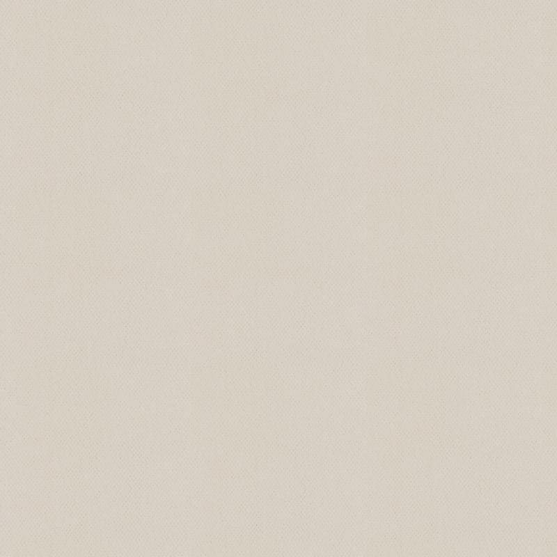 Dx300 carpet by Dixie Home