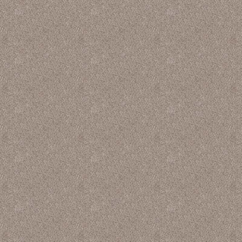 Saint Bernard carpet by Dixie Home