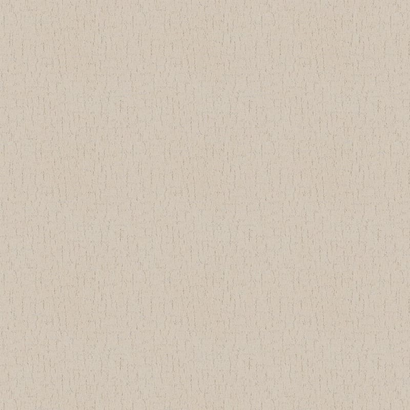 Dx301 carpet by Dixie Home