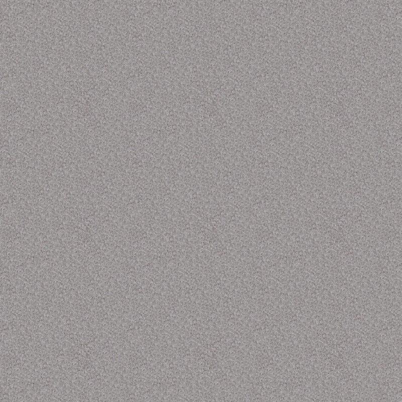 Dx150 carpet by Dixie Home