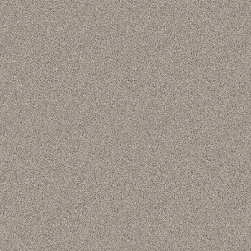 Dx840 carpet by Dixie Home
