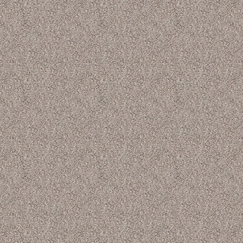 Saint Bernard carpet by Dixie Home