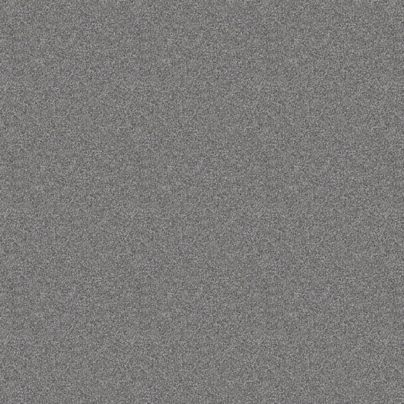 Dx836 carpet by Dixie Home
