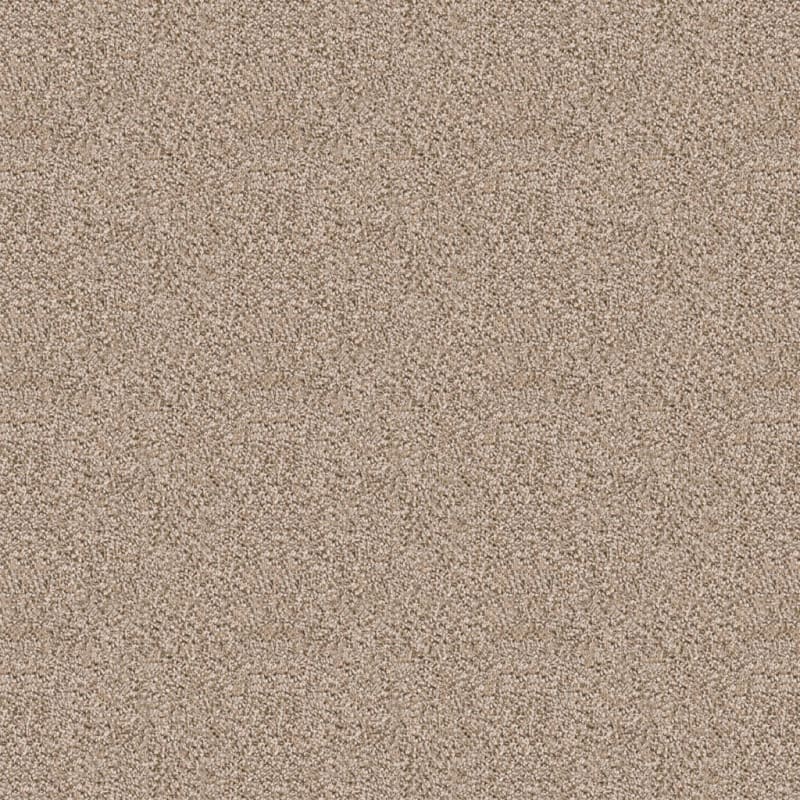 Dx118 carpet by Dixie Home