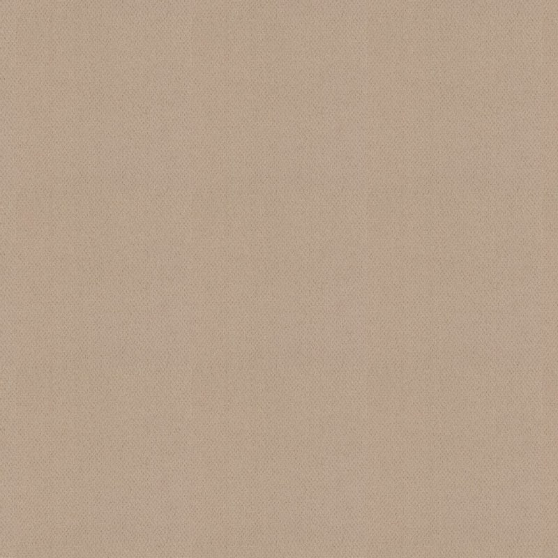 Dx300 carpet by Dixie Home
