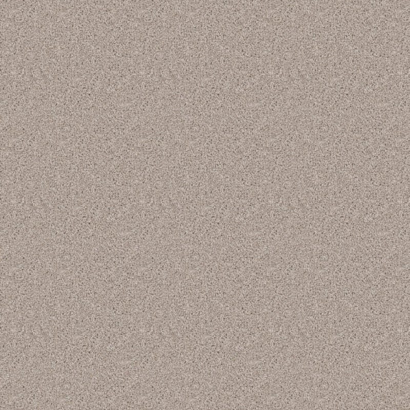 Dx836 carpet by Dixie Home