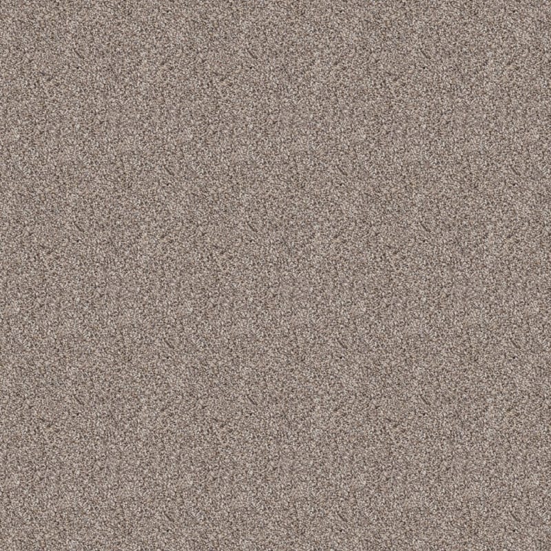 Saint Bernard carpet by Dixie Home
