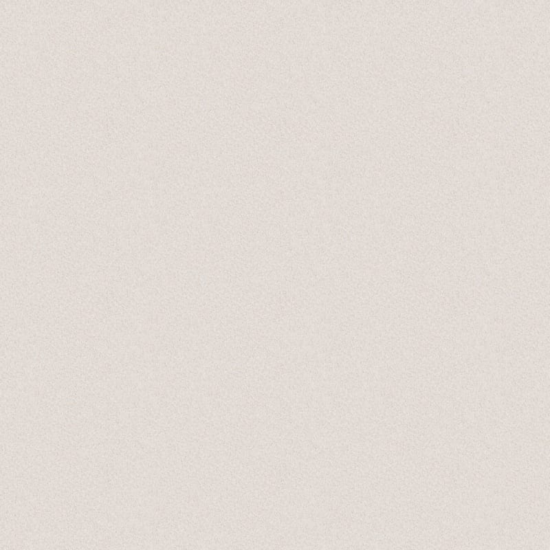 Dx109 carpet by Dixie Home