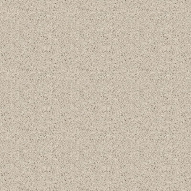 Dx836 carpet by Dixie Home