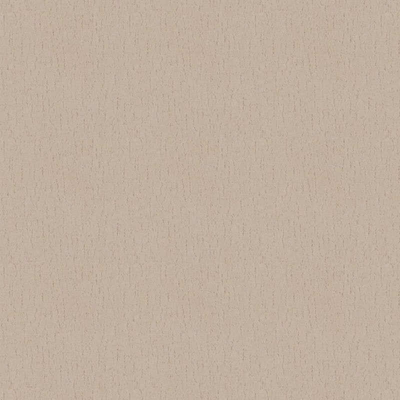 Dx301 carpet by Dixie Home