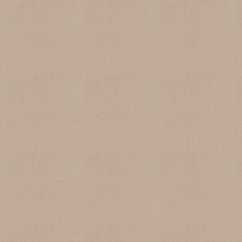Dx300 carpet by Dixie Home