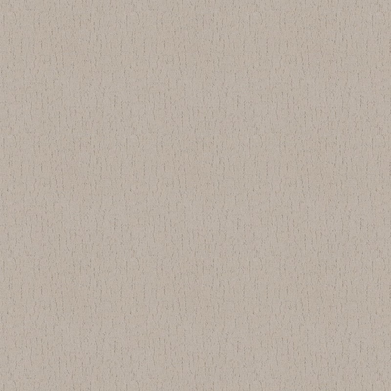 Dx301 carpet by Dixie Home
