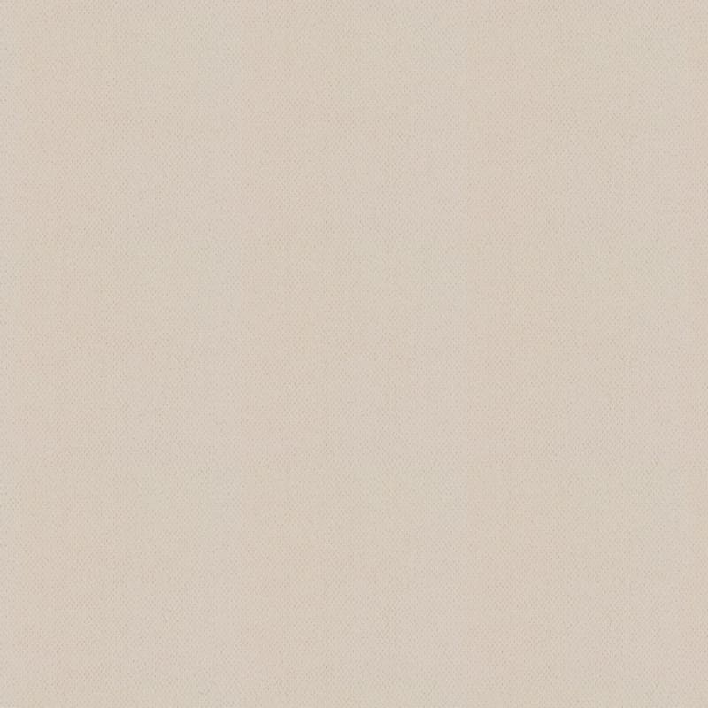 Dx300 carpet by Dixie Home