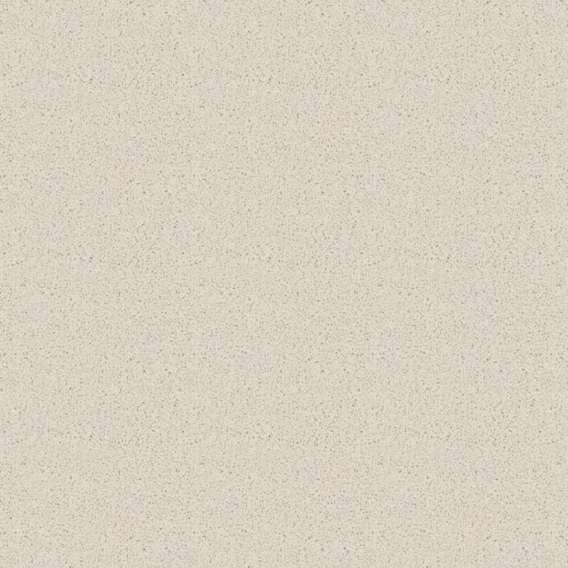 Dx840 carpet by Dixie Home