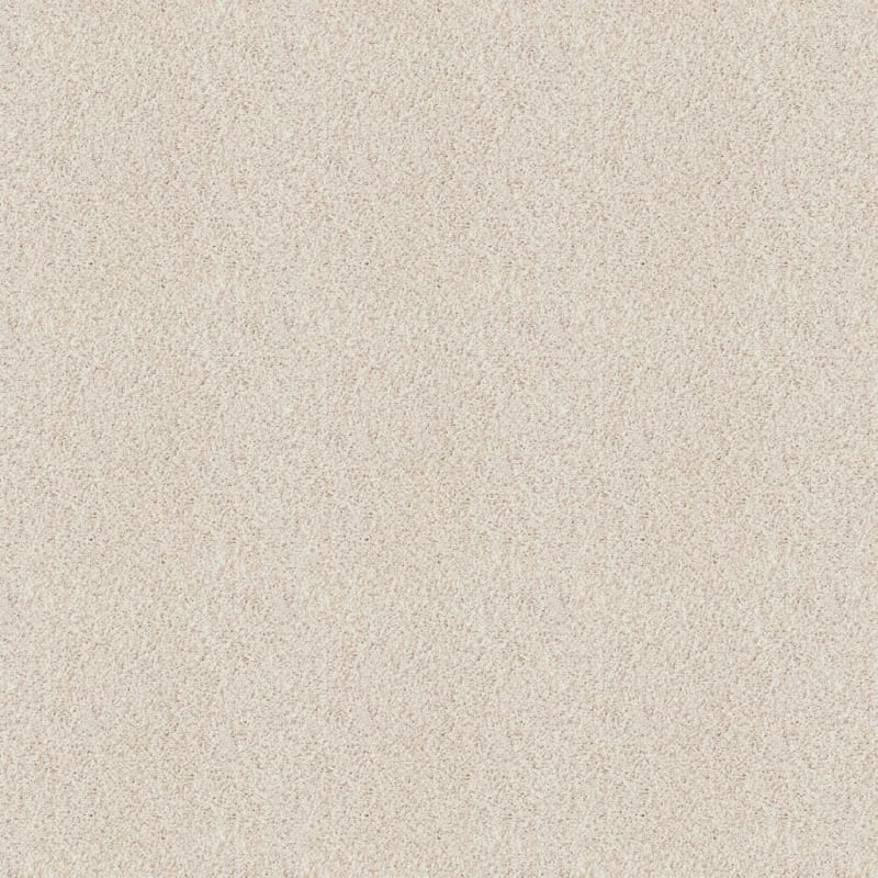 Akita carpet by Dixie Home