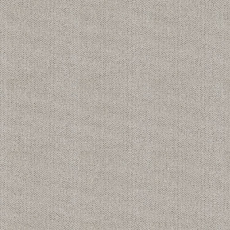 Dx300 carpet by Dixie Home