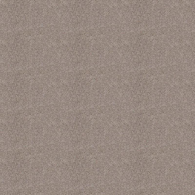 Akita carpet by Dixie Home
