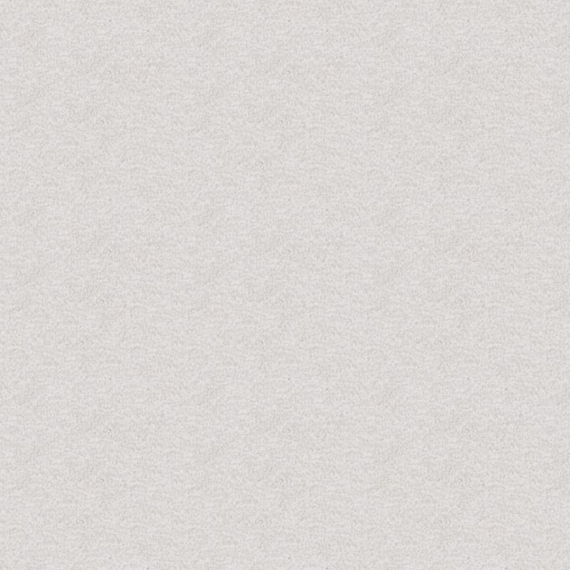 Dx220 carpet by Dixie Home