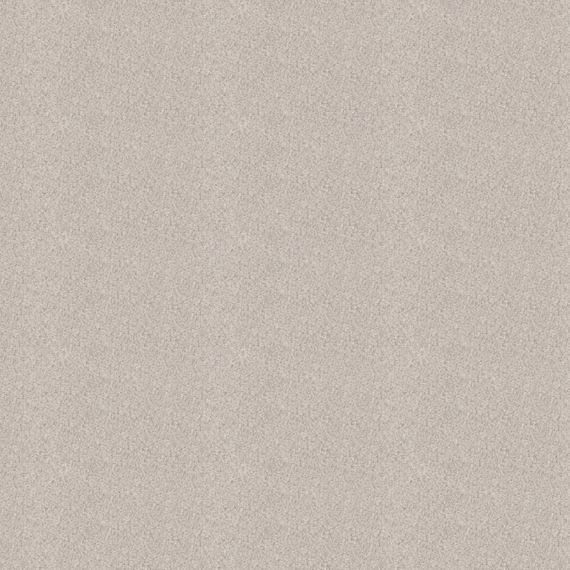 Saint Bernard carpet by Dixie Home